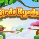 Birds kyodai